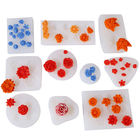 장미빛 꽃 칸델라 Soap 주형을 만들기 위한 향기가 없는 백금 치료 RTV2 액체 실리콘